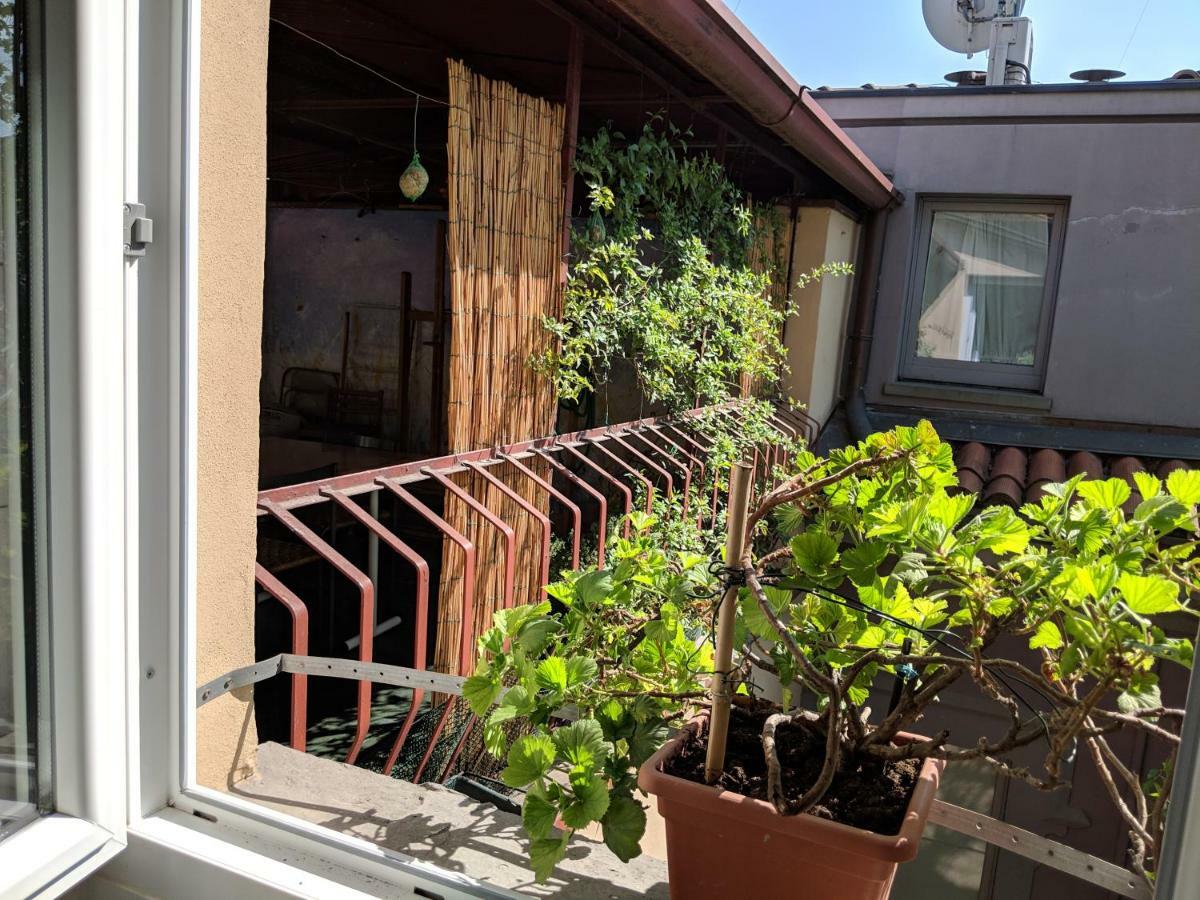 Casa Glicine Daire Milano Dış mekan fotoğraf